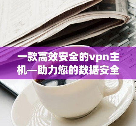 一款高效安全的vpn主机—助力您的数据安全