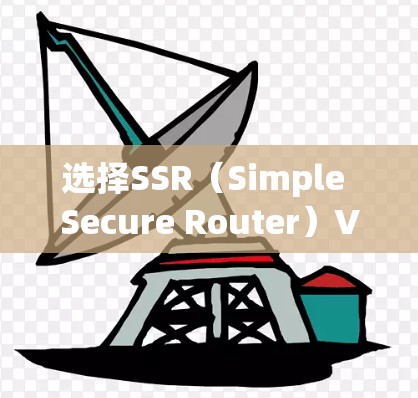 选择SSR(Simple Secure Router)VPN服务时,应综合考虑以下因素