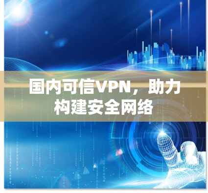 国内可信VPN，助力构建安全网络