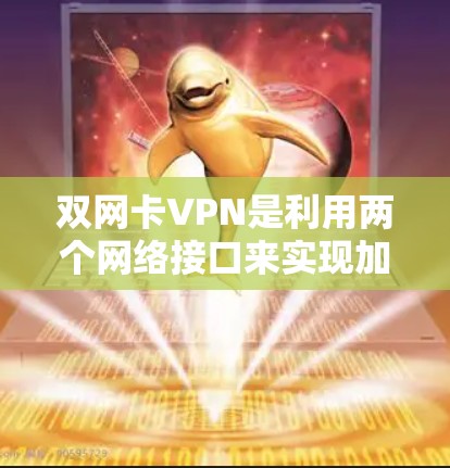 双网卡VPN是利用两个网络接口来实现加密和数据传输的VPN技术。以下是详细的步骤和学习建议