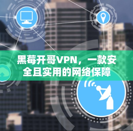黑莓开哥VPN，一款安全且实用的网络保障