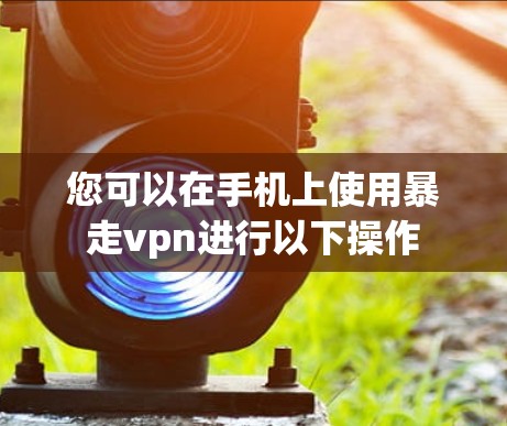 您可以在手机上使用暴走vpn进行以下操作