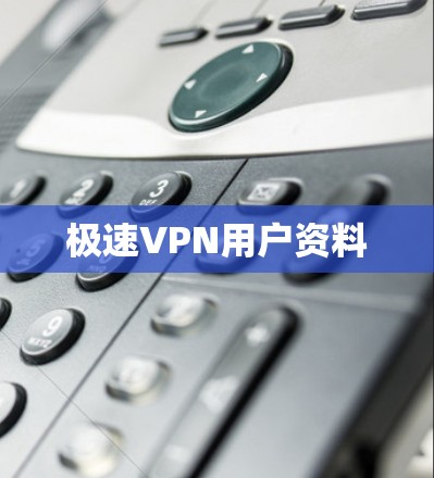 极速VPN用户资料