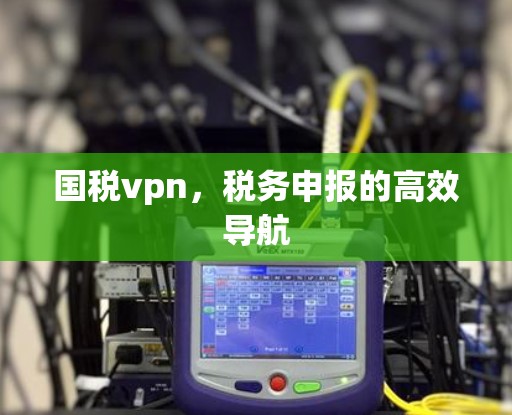国税vpn，税务申报的高效导航