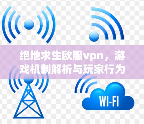 绝地求生欧服vpn，游戏机制解析与玩家行为分析