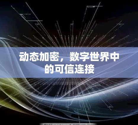 动态加密，数字世界中的可信连接