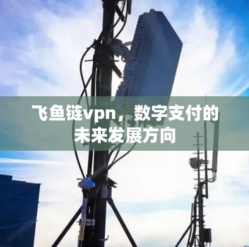 飞鱼链vpn，数字支付的未来发展方向