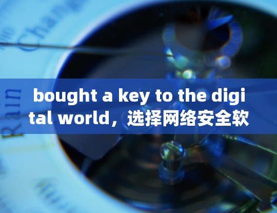 bought a key to the digital world,选择网络安全软件更安全 bought a key to the digital world,选择网络安全软件更安全