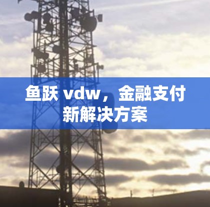 鱼跃 vdw，金融支付新解决方案