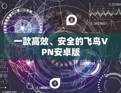 一款高效、安全的飞鸟VPN安卓版