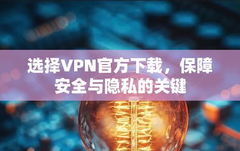 选择VPN官方下载,保障安全与隐私的关键 选择VPN官方下载,保障安全与隐私的关键