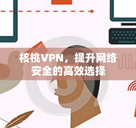 核桃VPN，提升网络安全的高效选择