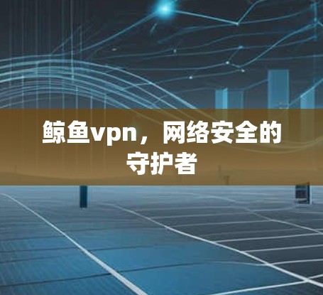 鲸鱼vpn，网络安全的守护者