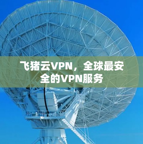 飞猪云VPN，全球最安全的VPN服务