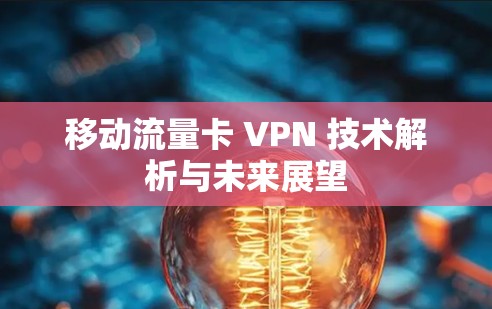 移动流量卡 VPN 技术解析与未来展望