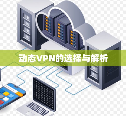 动态VPN的选择与解析