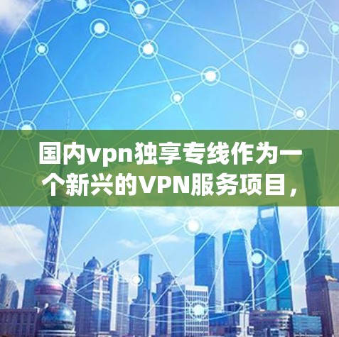 国内vpn独享专线作为一个新兴的VPN服务项目，其特点和优势可以总结如下