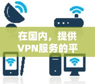 在国内，提供VPN服务的平台和地区包括