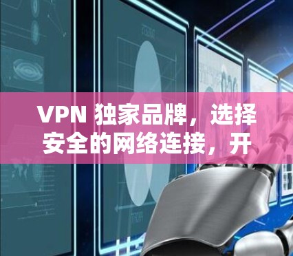 VPN 独家品牌，选择安全的网络连接，开启你的VPN之旅