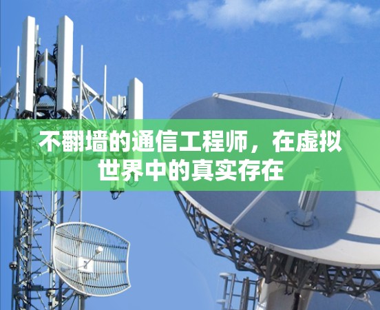 不翻墙的通信工程师，在虚拟世界中的真实存在