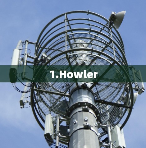 1.Howler