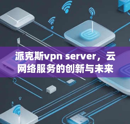 派克斯vpn server，云网络服务的创新与未来