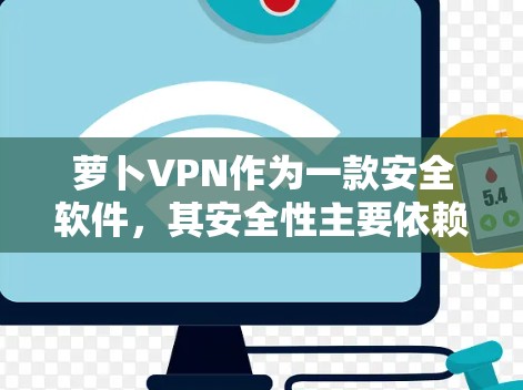萝卜VPN作为一款安全软件，其安全性主要依赖于其核心功能和漏洞修复能力。以下是萝卜VPN的主要安全措施和特点