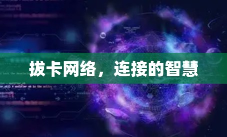 拔卡网络，连接的智慧