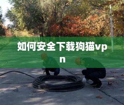 如何安全下载狗猫vpn 如何安全下载狗猫vpn