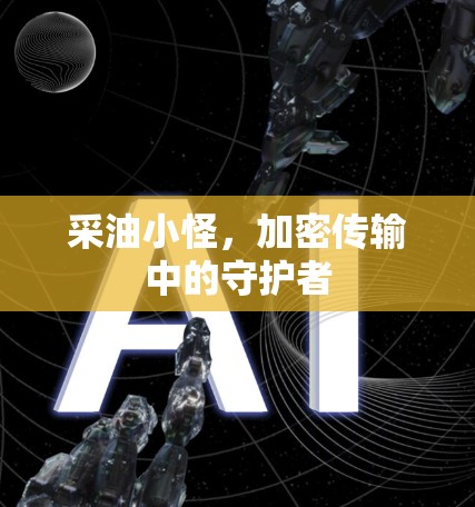 采油小怪，加密传输中的守护者