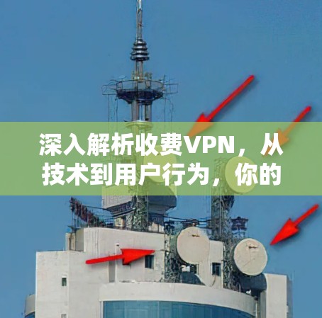 深入解析收费VPN，从技术到用户行为，你的选择将决定未来