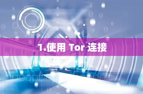 1.使用 Tor 连接