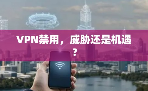 VPN禁用，威胁还是机遇？