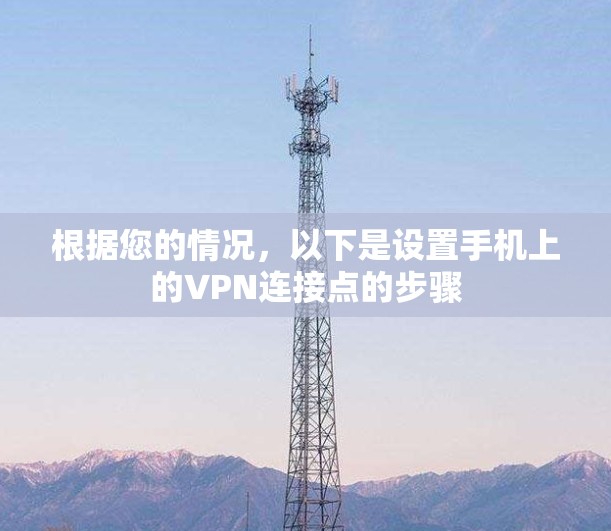 根据您的情况，以下是设置手机上的VPN连接点的步骤
