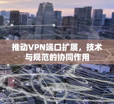 推动VPN端口扩展，技术与规范的协同作用