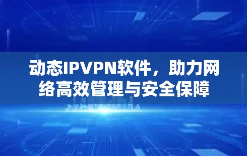 动态IPVPN软件，助力网络高效管理与安全保障