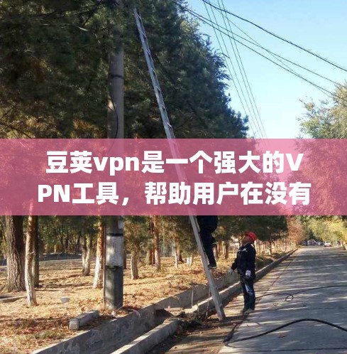 豆荚vpn是一个强大的VPN工具，帮助用户在没有网络的情况下访问互联网。以下是一步步的使用指南