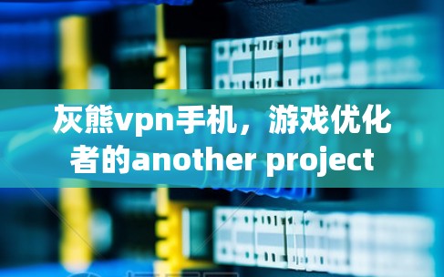 灰熊vpn手机，游戏优化者的another project