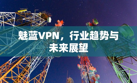魅蓝VPN，行业趋势与未来展望