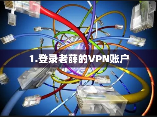 1.登录老薛的VPN账户