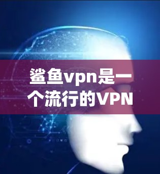 鲨鱼vpn是一个流行的VPN软件,如果你发现其更新失败,通常可以按照以下步骤进行处理 鲨鱼vpn是一个流行的VPN软件,如果你发现其更新失败,通常可以按照以下步骤进行处理