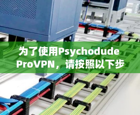 为了使用Psychodude ProVPN，请按照以下步骤操作