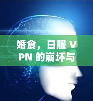 婚食，日服 VPN 的崩坏与重生