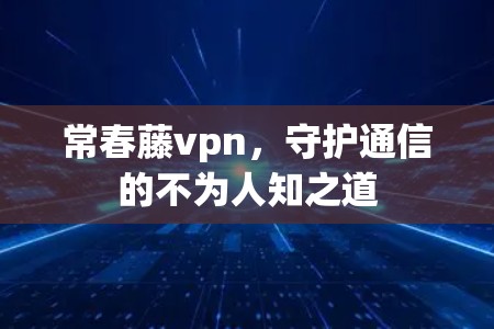 常春藤vpn，守护通信的不为人知之道