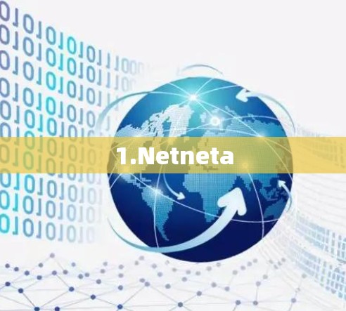 1.Netneta