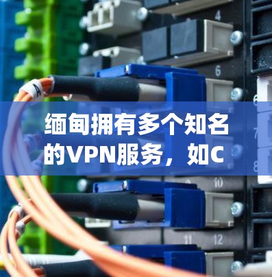 缅甸拥有多个知名的VPN服务，如C Disqus、Net2和Net2+这些服务为用户提供多样化的网络访问体验。以下是对这些VPN服务的详细分析