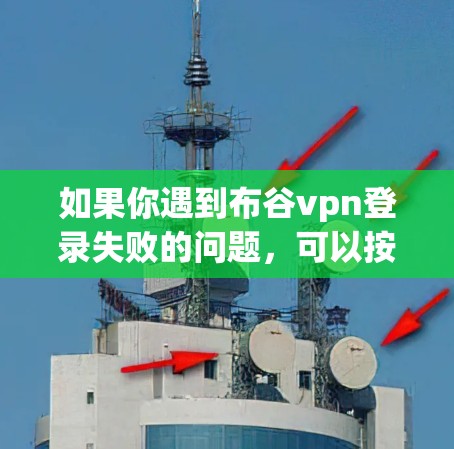 如果你遇到布谷vpn登录失败的问题，可以按照以下步骤进行处理