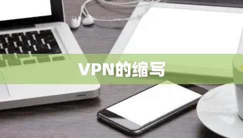 VPN的缩写 VPN的缩写