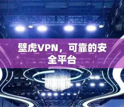壁虎VPN，可靠的安全平台