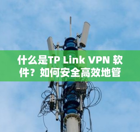 什么是TP Link VPN 软件？如何安全高效地管理网络